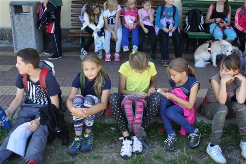 Obrázek v galerii